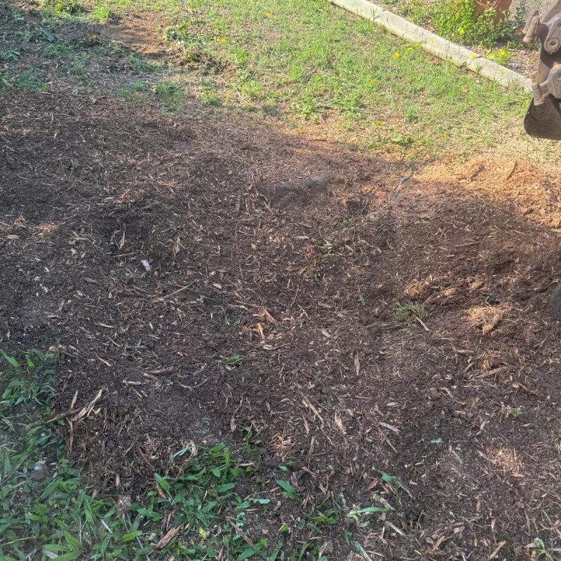Sonic Stumps